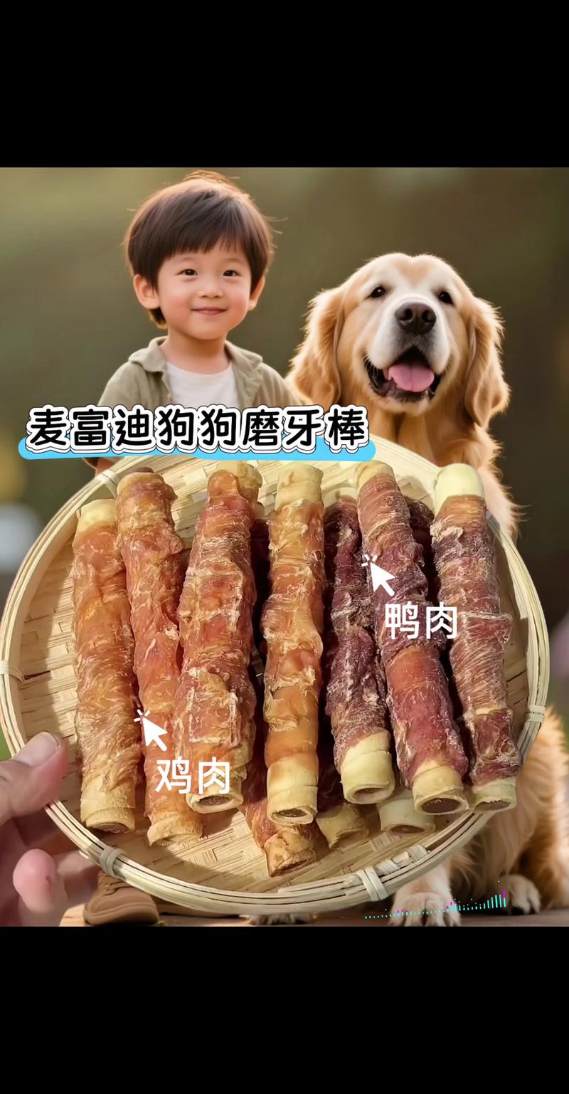 狗狗零食：宠物营养与呵护的艺术